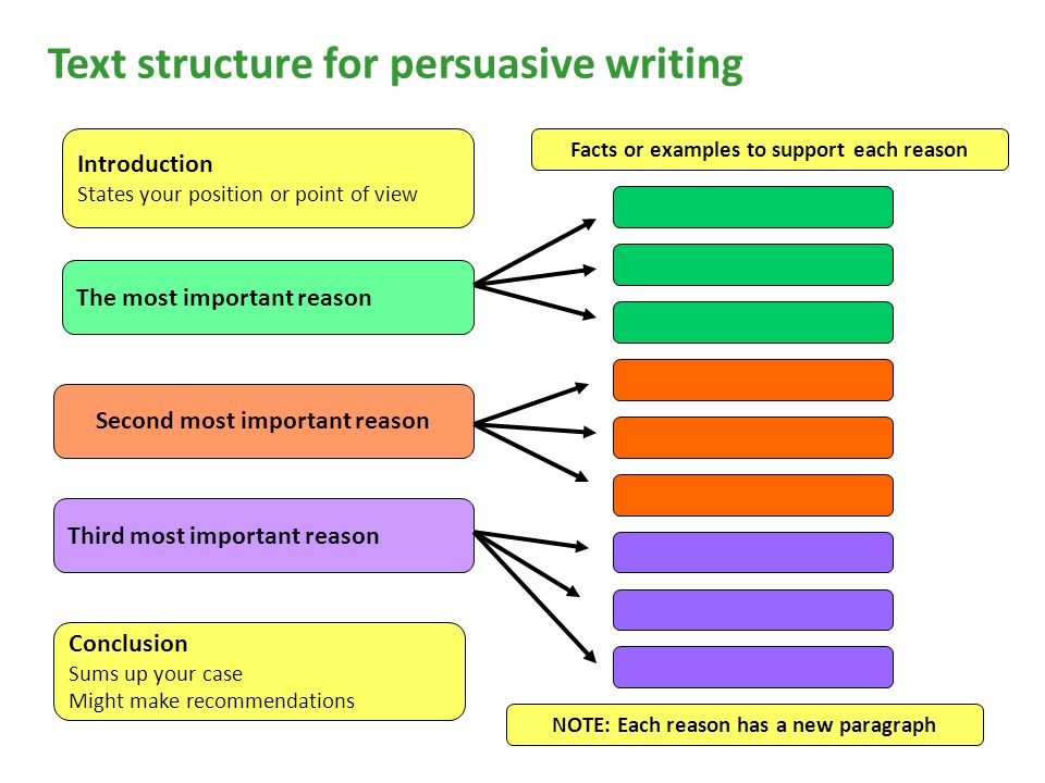 Persuasive essay organization